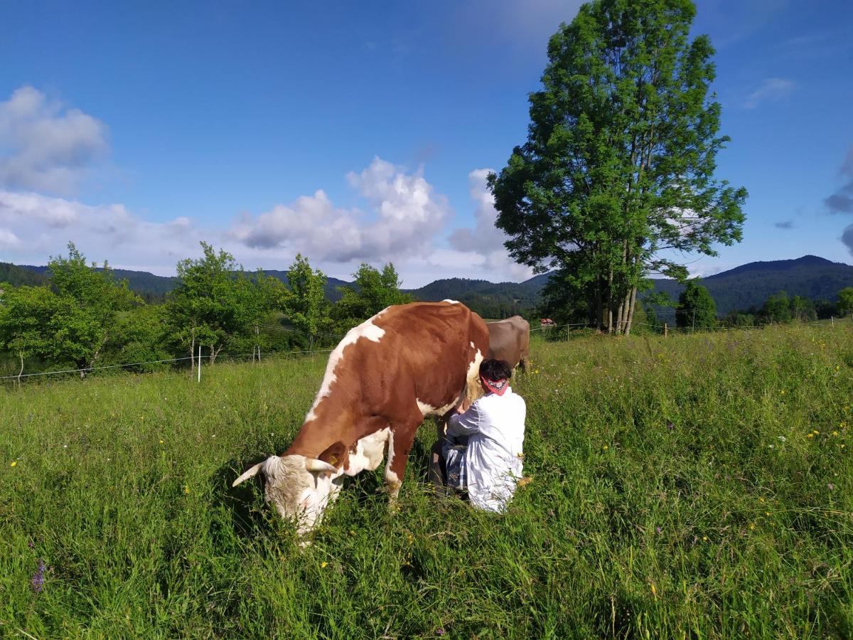 Tourist Farm Strle With Great Local Food Villa Cerknica Ngoại thất bức ảnh