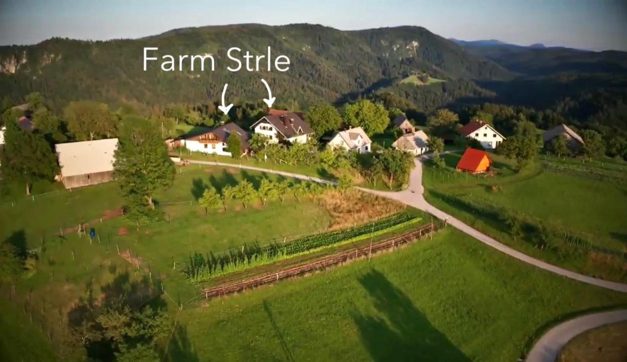 Tourist Farm Strle With Great Local Food Villa Cerknica Ngoại thất bức ảnh
