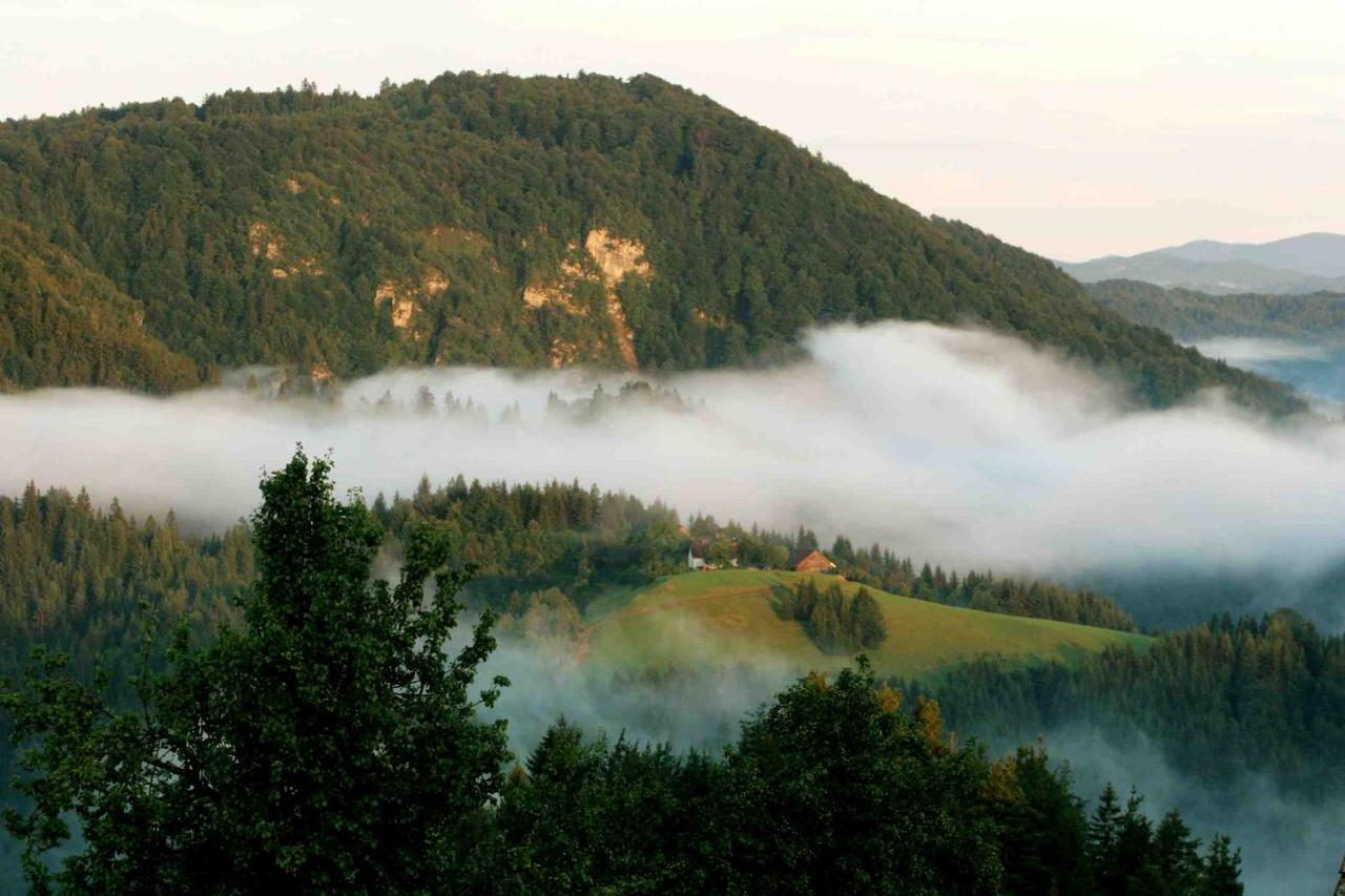 Tourist Farm Strle With Great Local Food Villa Cerknica Ngoại thất bức ảnh